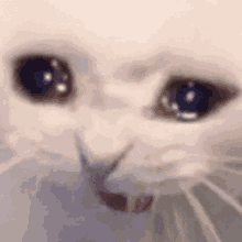 Anyone Else Get The Feeling That Gale Would Be A Major Cults Enjoyer? I Feel Like That Man Would Absolutely
