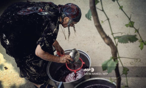 Fakhria Eli is a Kurdish Christian winemaker from Shaqlawa.&gt; Photos: Safin Hamed.