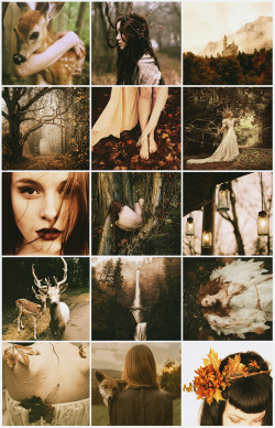 aestheticschaos:  Autumn Fairy Queen aestheticrequested