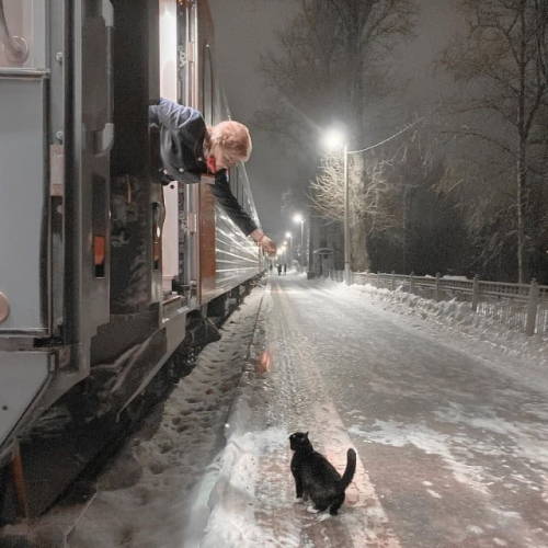 hitmewithcute:The conductor of the Pskov-Moscow train feeds the cat Felix during a short stop on Sta