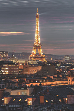 visualechoess:  Les Toits de Paris By: Laurent Smith