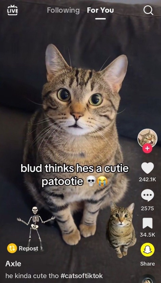 Tumblr media