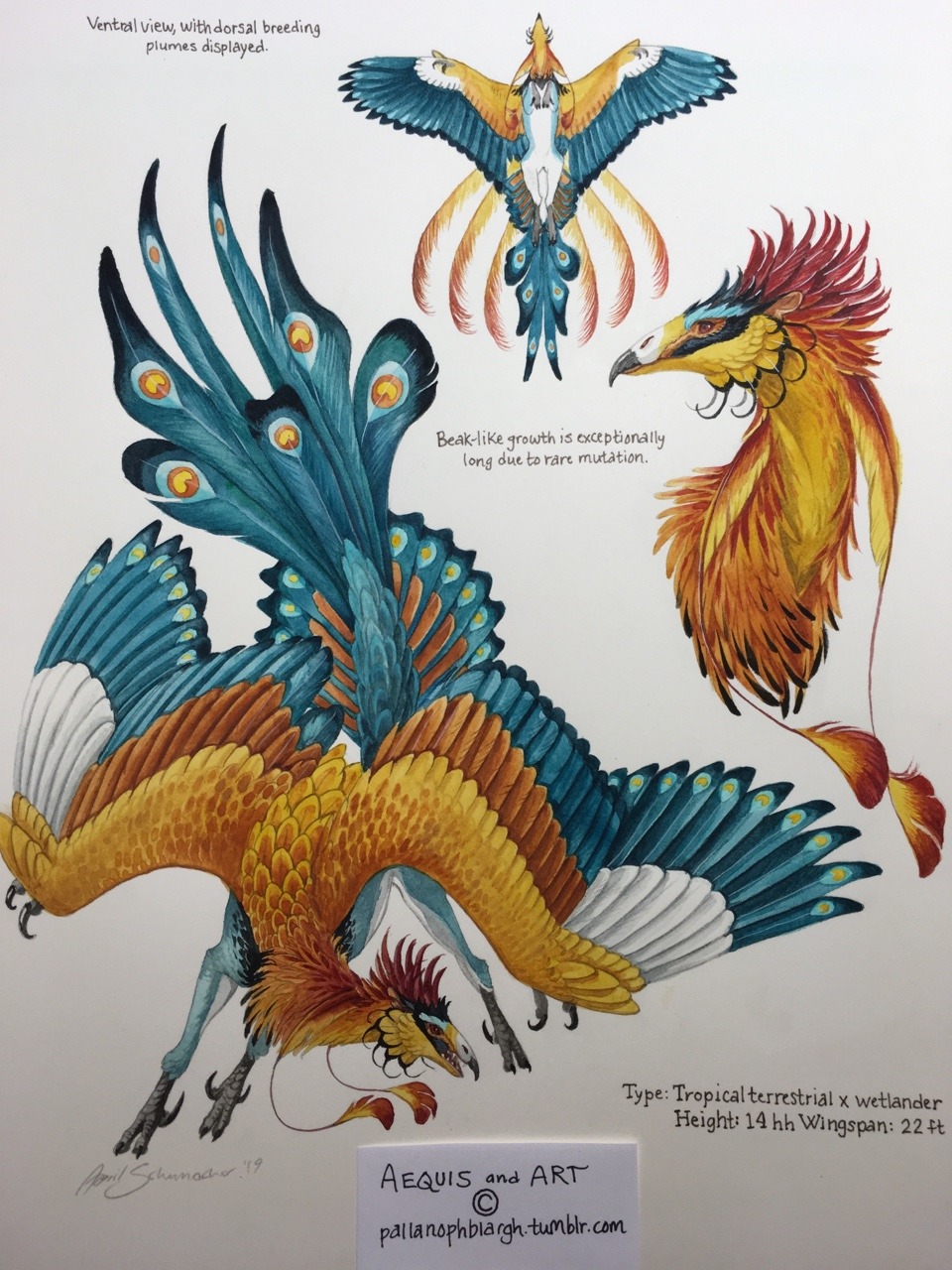 pallanophblargh:  Going to call the bee-eater Aequis custom tentatively done: I’m