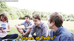 Pedrazar: A Summary