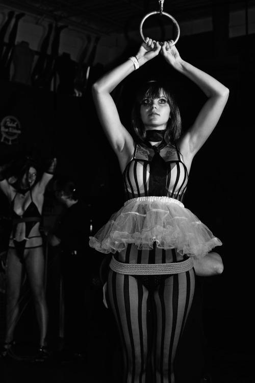 pepalfreyman:  Public suspension exhibition, circa 2010
