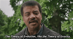 alwaysmoneyinthebnanastand-deac:  Some claim that Evolution is just a theory, as if it were merely an opinion. 