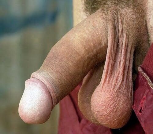 txheadman:  banging-the-boy:  banging-the-boy: Alpha Male https://banging-the-boy.tumblr.com/archive  https://banging-the-boy.tumblr.com/archive  😛😛😛