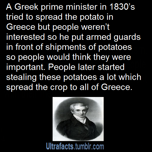 ultrafacts:  panichristie:  erisdogwood:  ultrafacts:  chocolatesprinklesroyale:  ultrafacts:  Source More Facts  Guards: Oh no. Wait. Stop. No. Don’t steal those. Get back here, you criminal. (Pfft! Can’t believe they’re falling for it!)  I read