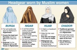 sailorveganpower:  kchannel9:  angel-kink:  esinololly:  takealookatyourlife:  I have incorrectly been saying ‘burqa’ when I meant ‘niqab’ for maybe my whole life.  Relevant! During my deployment I have seen all four of these types of head gear,