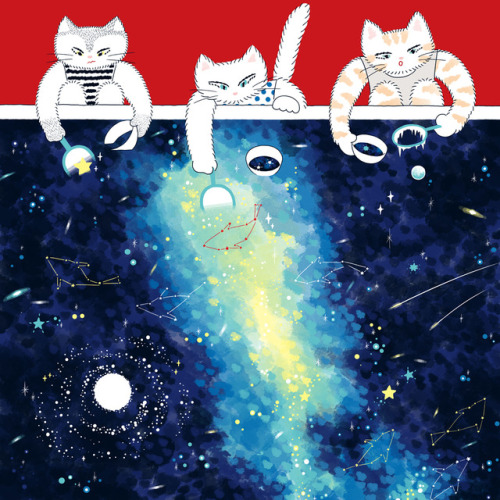 星すくい