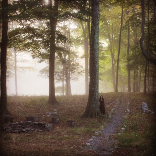 jaydeeclipse:Foggy fall morning. An old photo that I never ended up posting because I took it before