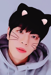 Seungmin’s Bday Vlive 🐶