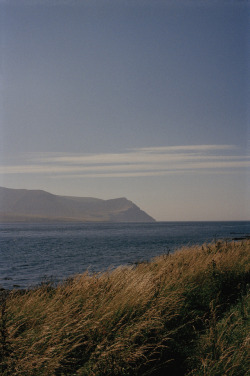 louisebichan:Hoy, Orkney, Scotland, Summer 2016