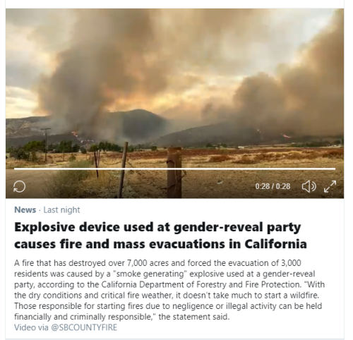 FFS STOP HAVING GENDER REVEAL PARTIES WITH EXPLOSIVES,  FIREWORKS, OR SMOKE. FULL STOP.People are li