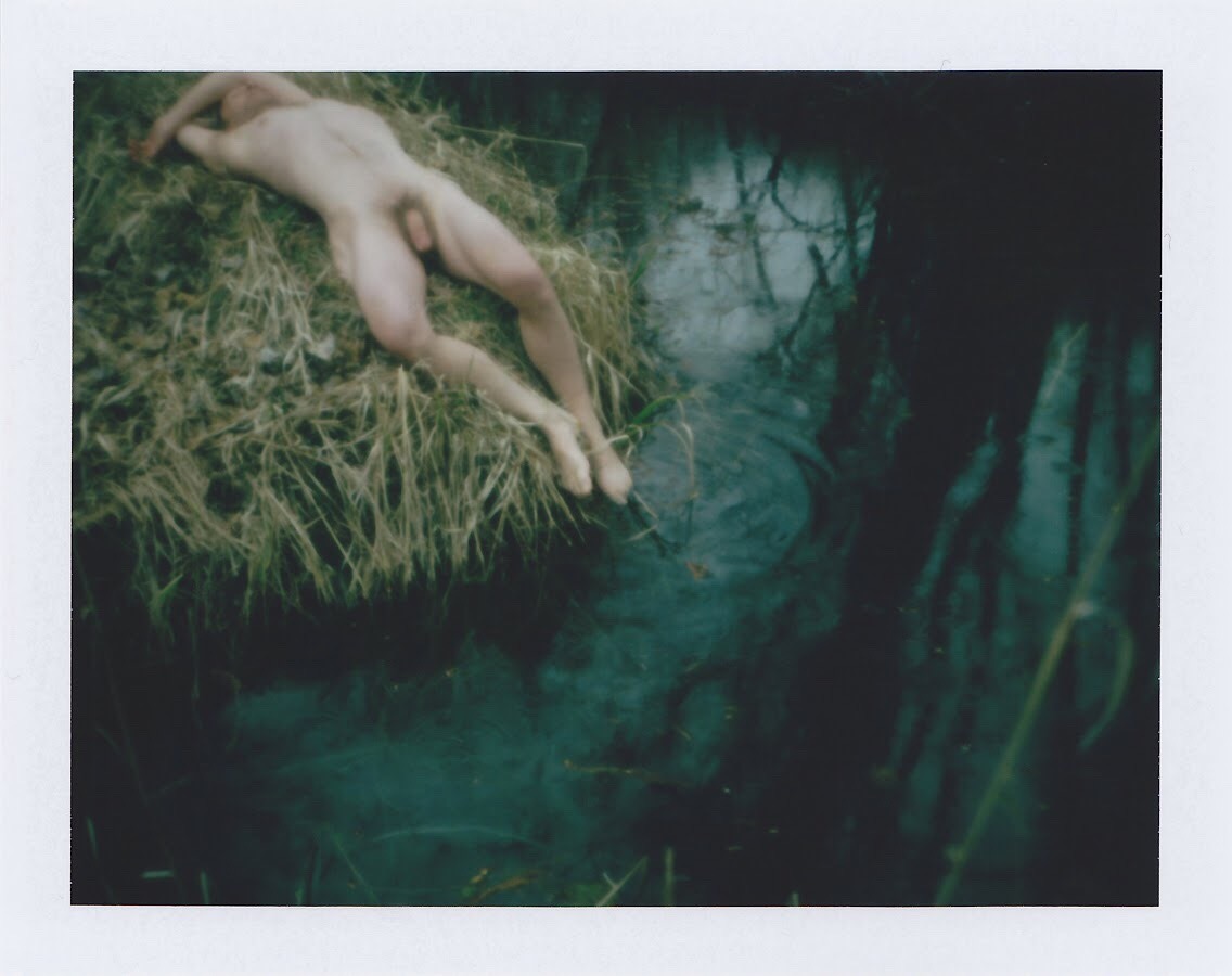 brackenstudies: dip, and rain   Polaroid, Fujifilm FP100c color print film 