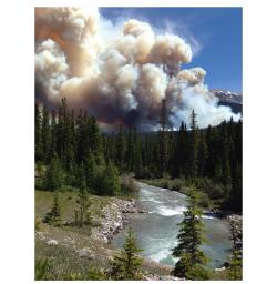 Earthporn-Org:  In The Summer Of 2014 A Massive Wildfire Took Over Banff National