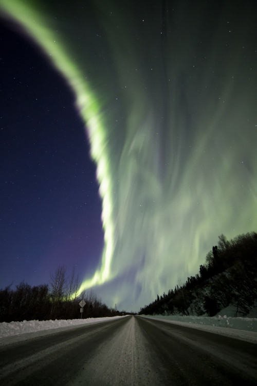 noizzex:Alaska Street lights | by XLj Photography