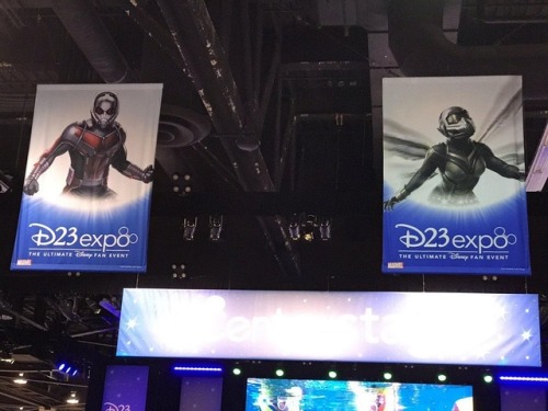 therealsongbirddiamondback:D23 is setting up!