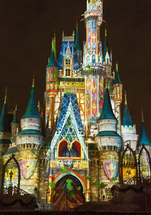 kioewen:  Elsa Takes Residence at Walt Disney World Castle From the Celebrate the Magic show at the Magic Kingdom in Walt Disney World, featuring Cinderella’s Castle transformed by light into the Castle of Arendelle. Source: Disney Parks Blog, [here].