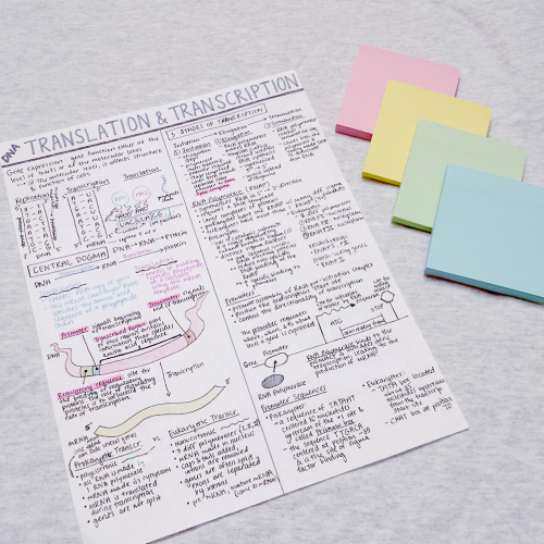 cakestudies: [ august 15, 2016 ] more of my old bio notes // i was supposed to write ‘transcription
