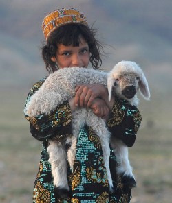 fotojournalismus:  An Afghan girl holds her sheep on the outskirts of Herat on April 10, 2012. (Aref Karimi/AFP/Getty Images)