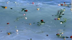 unrar:    Flowers float in the Mediterranean