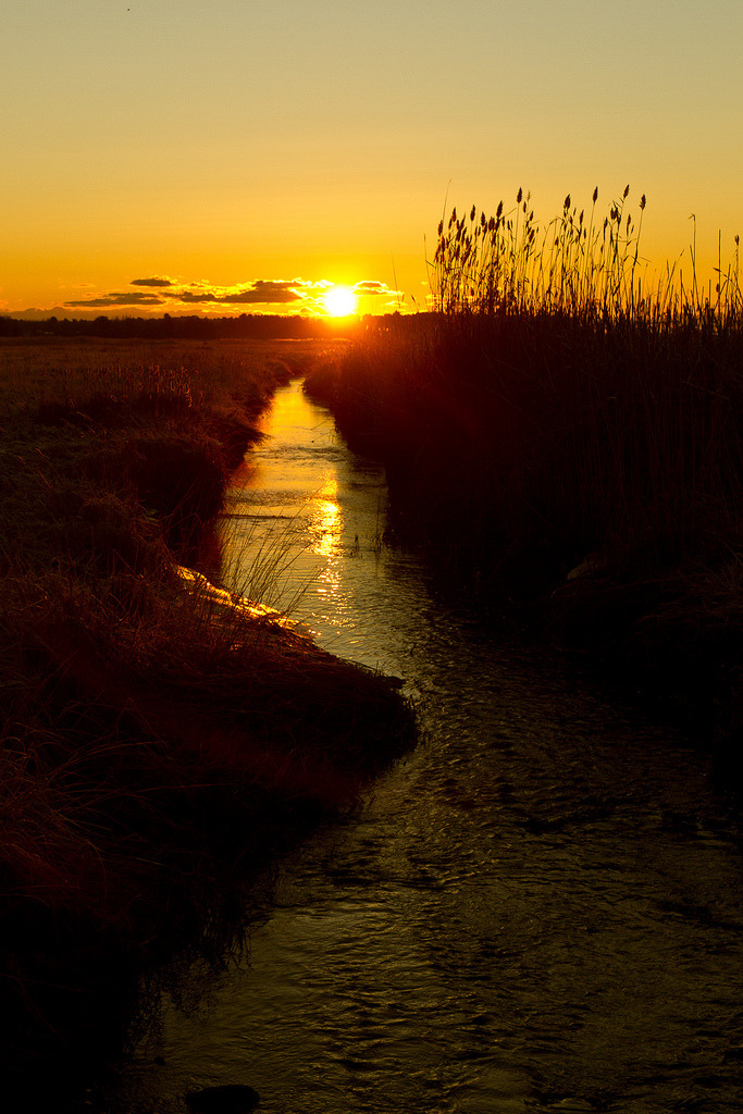 its-salah:  by Tom Whitney
