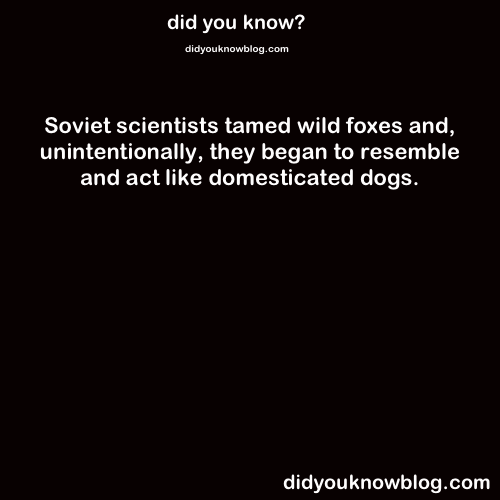 did-you-kno:  Source