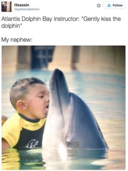 littlejustmimi: siege1:   gunzonyatmblr:  imrubio:  Lmaooo  bruhhhhhh lmaoo  Even the dolphin looks a little uncomfortable, lol   ^^^^ right lol i look at the dolphins eye and i cant stop laugh now😭💀 