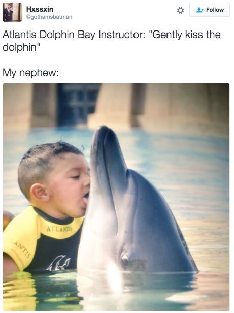 lyonnnss: littlejustmimi:   siege1:   gunzonyatmblr:  imrubio:  Lmaooo  bruhhhhhh lmaoo  Even the dolphin looks a little uncomfortable, lol   ^^^^ right lol i look at the dolphins eye and i cant stop laugh now😭💀   ^ why you had to say something