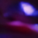 dollce-exe - -dollce.exe