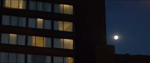 granizadodecloroformo: The Mule (2014) 
