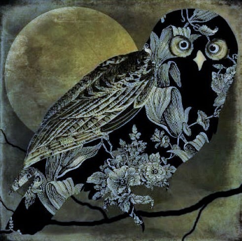 zoeflake: “Sepia Moon Owl” by Vermont-based artist Mindy Sommers