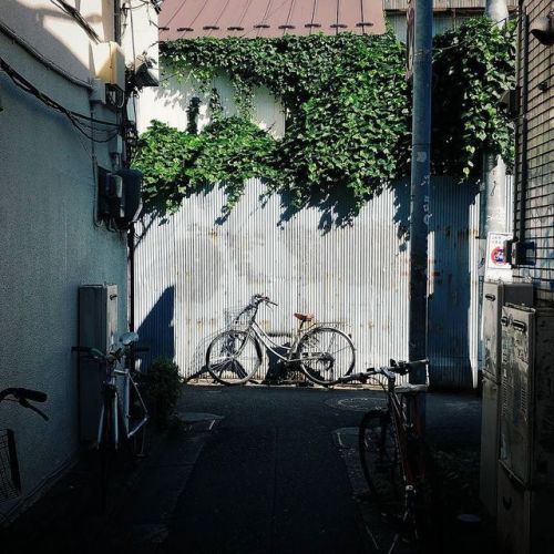 nipponrama: The perfect tool for terrorizing pedestrians in Tokyo. www.instagram.com/p/BYiCf
