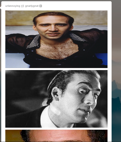 hellanerd:  hellanerd:  hellanerd:  hellanerd:  MY ENTIRE DASH IS NICOLAS CAGE WHAT DID I DO     DID YOU THINK I WAS KIDDING  YOUTUBE NO   MY SISTER CAN GO TO HELL 