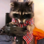 raccoonwithagun
