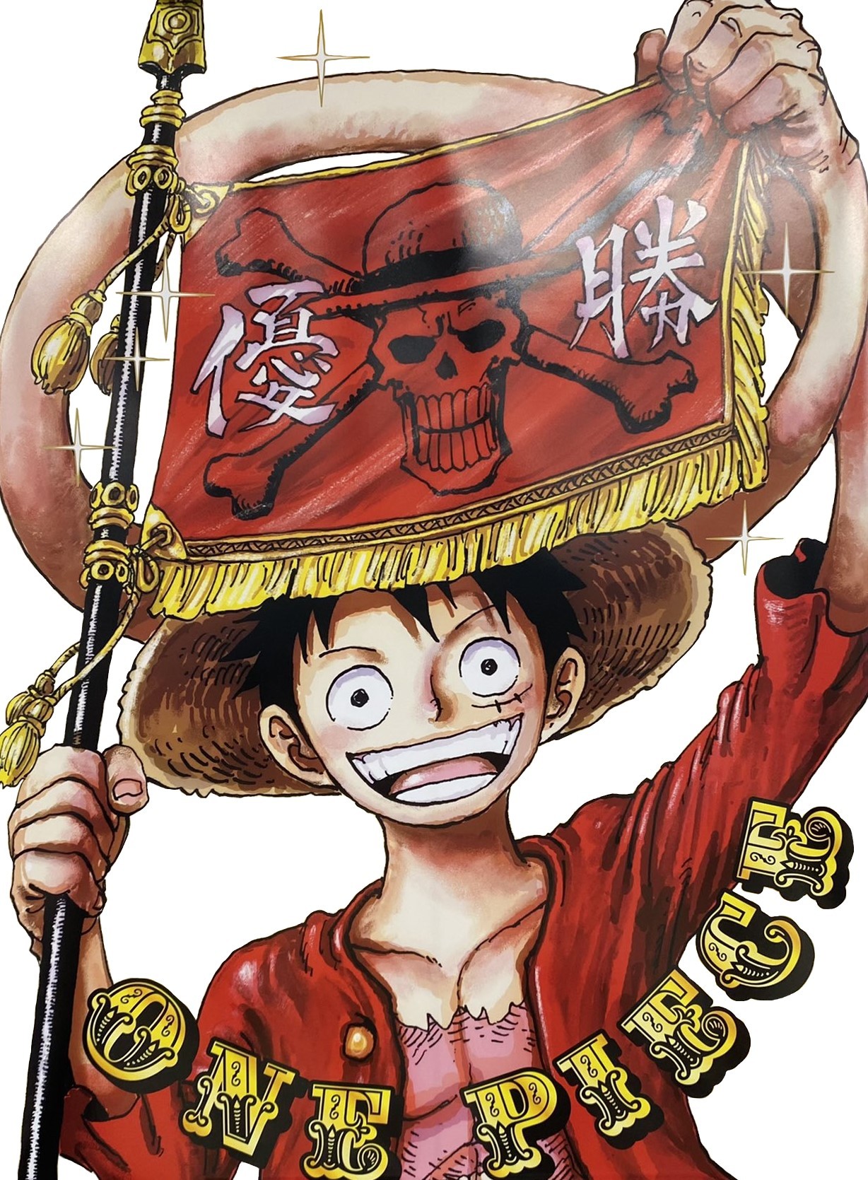 The Tale of Momo the Fearless and the Astonishing Luffy! - RJ Writing Ink