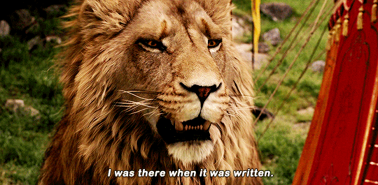 disneyliveaction: The Chronicles of Narnia: The Lion, the Witch and the Wardrobe