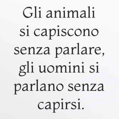 “Stava spiegando che anche gli animali hanno un'anima. Nessuno mise in dubbio la sua dichiarazione. Era possibile, lo sapevamo tutti. Quello di cui non eravamo sicuri era di avercela noi, l'anima.”
Charles...