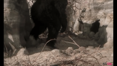世界の怪獣 Explore Tumblr Posts And Blogs Tumgir