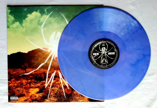 vinylkilledtheradiostar