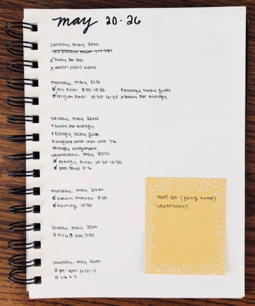 katestudiesalot: 7.6 my bujo might be boring but it’s functional