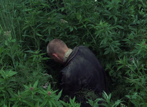 smnmblst:Stalker (Andrei Tarkovsky, 1979)