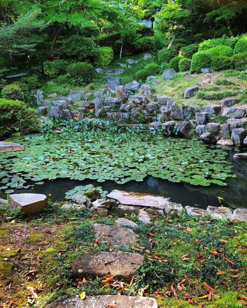 海蔵寺庭園“石組庭園” [ 広島県広島市 ] Kaizoji Temple Garden, Hiroshima の写真・記事を更新しました。 ーー広島市の数少ない江戸時代の庭園の一つ。幕府と長州藩の談