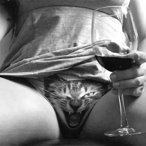 Occupymybrain-Bcn:  Make Me Purr😻 . #Cat #Catsofinstagram #Purr #Makemepurr #Panties