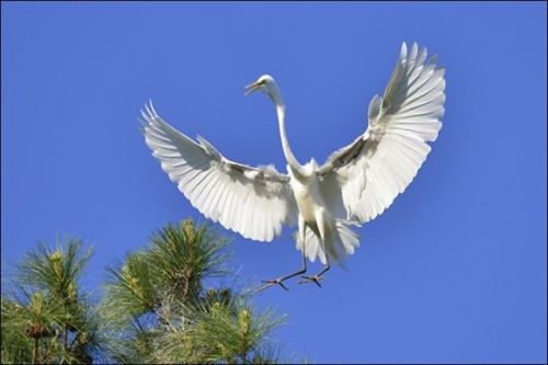 It pays to keep your eyes on the sky in East Texas. We&rsquo;re fortunate to be on several migra