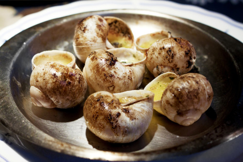 Escargots baked with Garlic Butter - Ma Maison