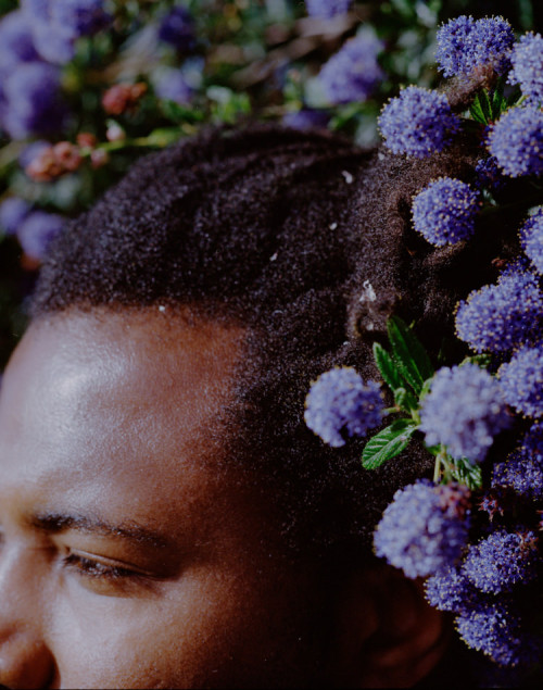 marsthecreative:Sampha for The Fader’s 104 Summer Music Issue June/ July 2016