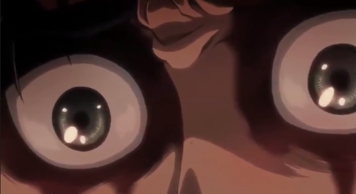 makochantachibanana:  naiadnymph:  queen-of-the-mirkwood:  So this is Eren’s face