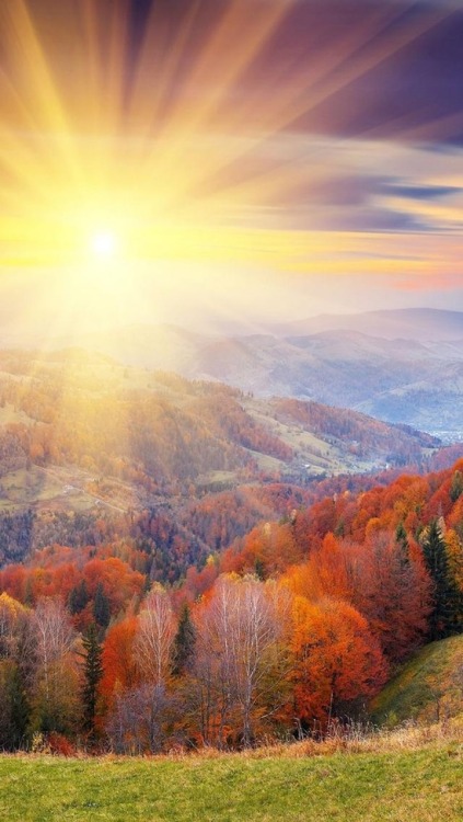 Porn torrestrela:  Beautiful Autumn Sunrise  photos